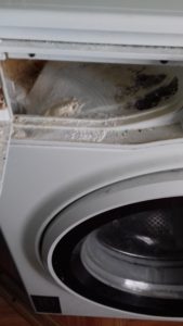 Как убрать накипь в лотке стиральной машины